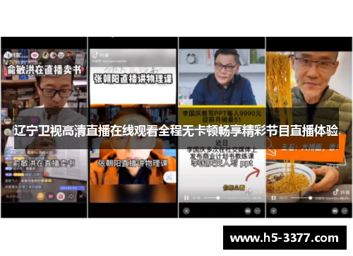 辽宁卫视高清直播在线观看全程无卡顿畅享精彩节目直播体验
